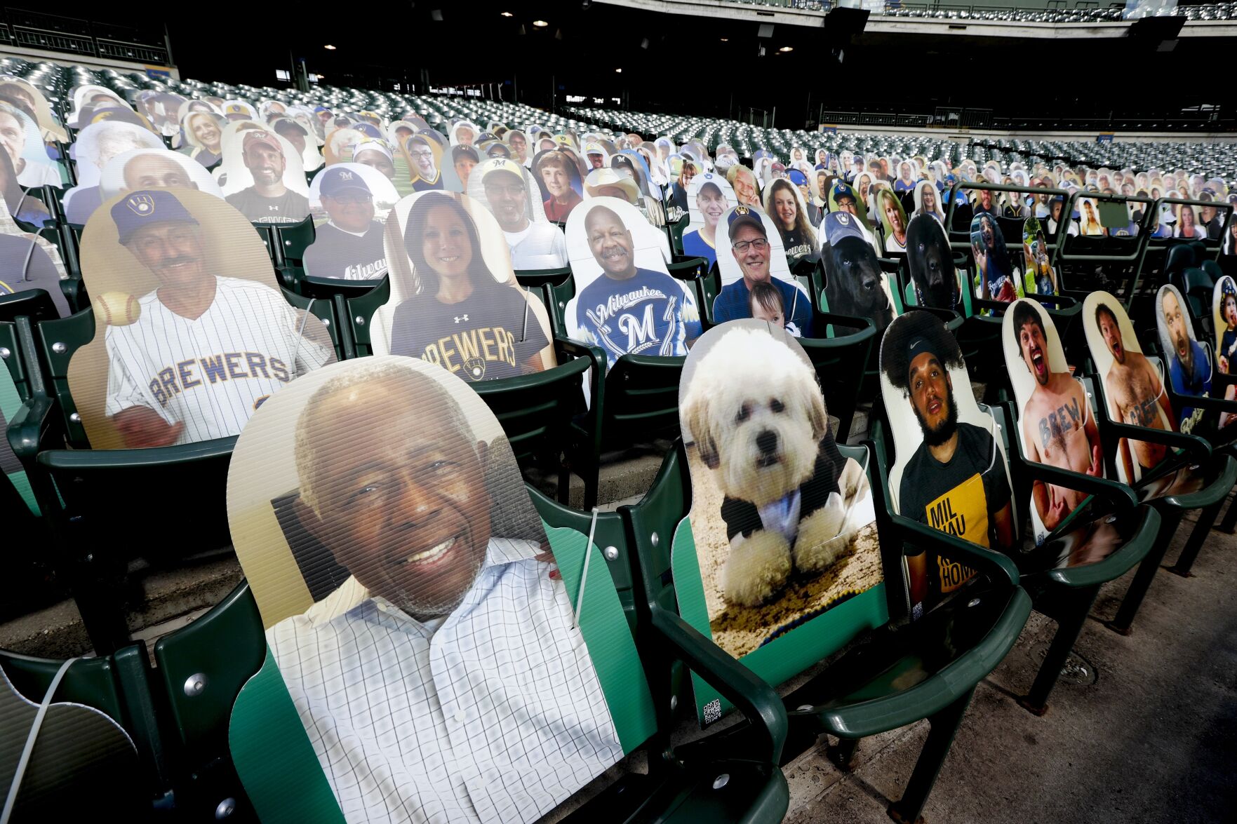 Fan cutouts photo